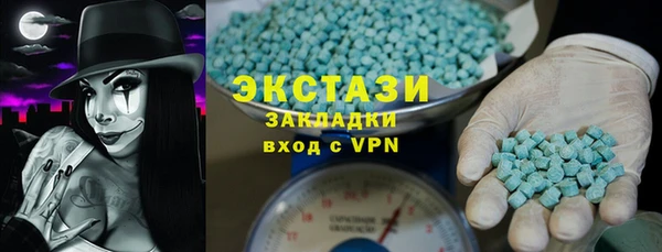 мдпв Богородицк