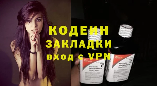 мдпв Богородицк