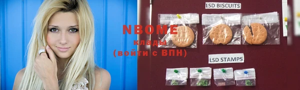 мдпв Богородицк