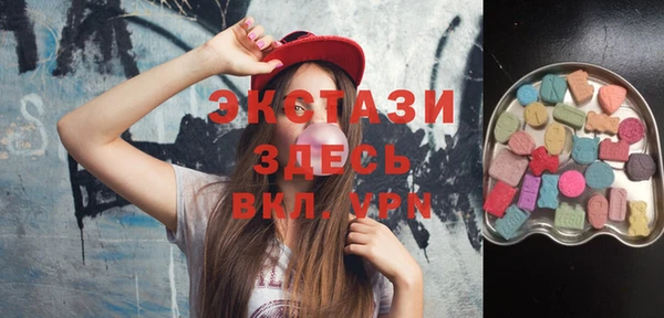мдпв Богородицк
