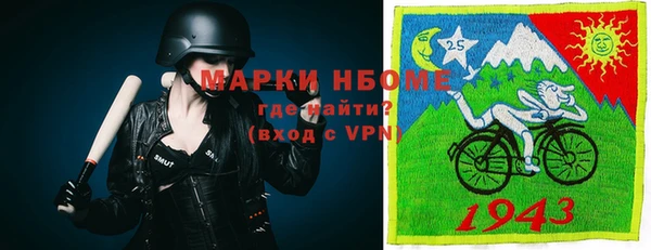 мдпв Богородицк